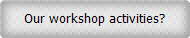 Our workshop activities?